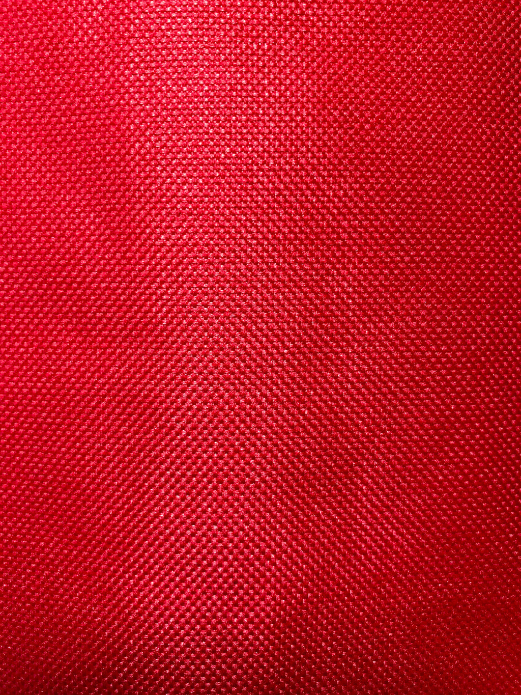 Epilepsy - Medical Alert Seat Belt Cover - Inside Pocket - Medical Info Sheet